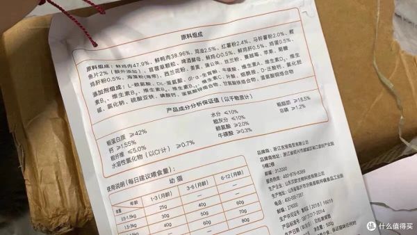 養(yǎng)貓小貼士:如何讓你的貓咪健康快樂