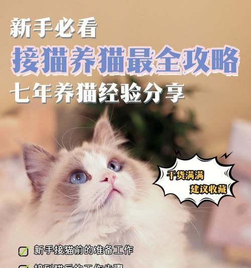 愛護(hù)長毛貓，從日常護(hù)理開始（15個(gè)必知護(hù)理事項(xiàng)，讓你的長毛貓健康快樂）