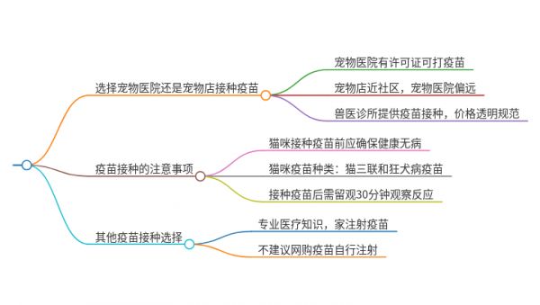 貓打疫苗去寵物店還是寵物醫(yī)院