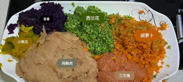 狗狗的日常饮食管理——合理喂养狗粮（掌握合适的喂养量和换粮策略，宠爱你的狗狗）