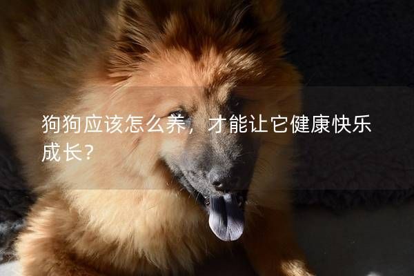 狗狗應該怎么養(yǎng)，才能讓它健康快樂成長？