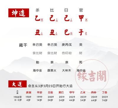八字土太旺影響健康