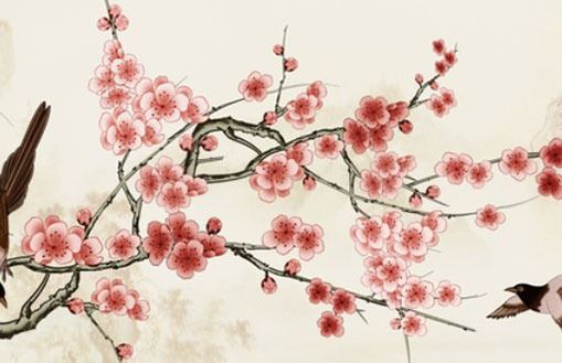 97年屬牛女災難,生肖牛如何化解災難