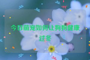 今日萌寵如何讓狗狗健康過冬
