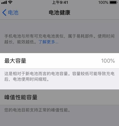 如何查看 iPhone 電池詳情？