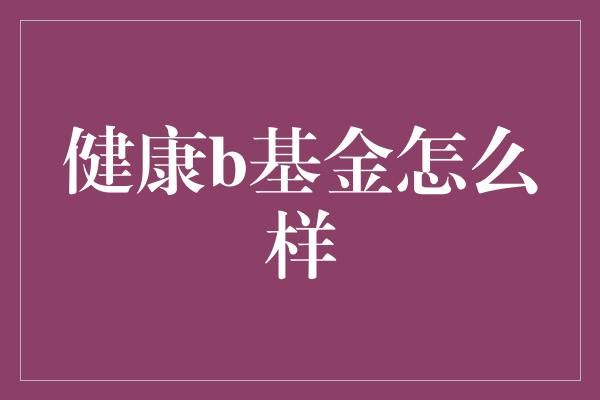 健康b基金怎么樣
