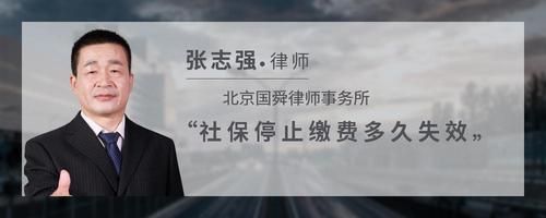 社保停止缴费多久失效