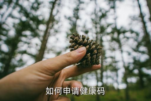 如何申请健康码
