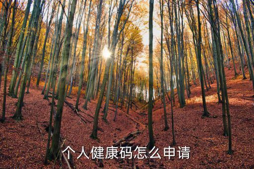 个人健康码怎么申请
