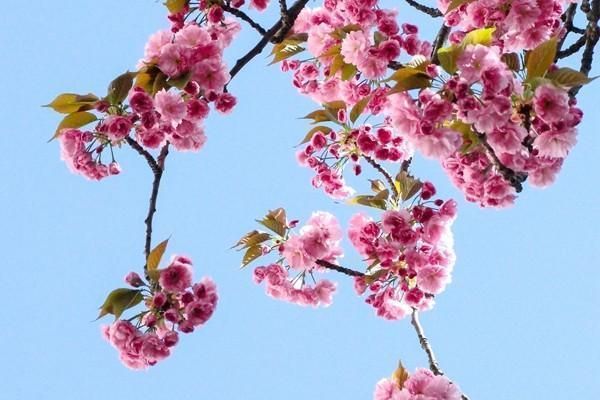 健康福重疾險(xiǎn)稅優(yōu)識(shí)別碼