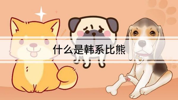 什么是韓系比熊