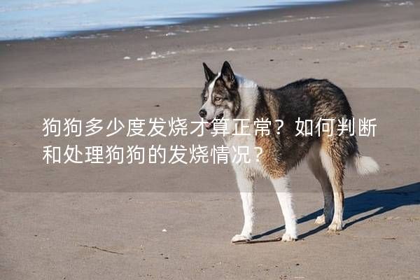 狗狗多少度發(fā)燒才算正常？如何判斷和處理狗狗的發(fā)燒情況？