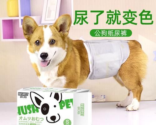 狗狗的正常排尿頻率（一天幾次是健康的標(biāo)準(zhǔn)？如何觀察狗狗的排尿情況？）