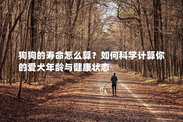 狗狗的壽命怎么算？如何科學(xué)計算你的愛犬年齡與健康狀態(tài)