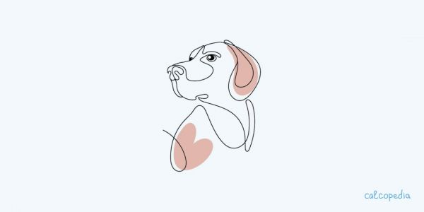 狗狗年齡計(jì)算器