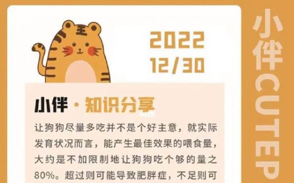 狗狗的日常护理与健康知识（掌握这些知识，让你的宠物狗更健康、更快乐！）