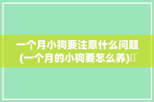 一个月小狗要注意什么问题(一个月的小狗要怎么养)✅ 