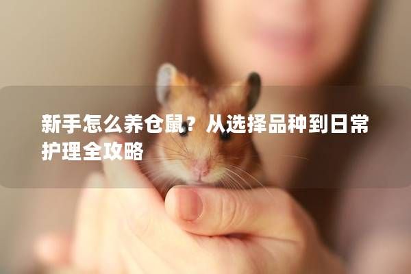 新手怎么養(yǎng)倉鼠？從選擇品種到日常護(hù)理全攻略