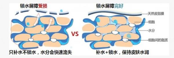 好皮膚是怎么養(yǎng)出來(lái)的插圖