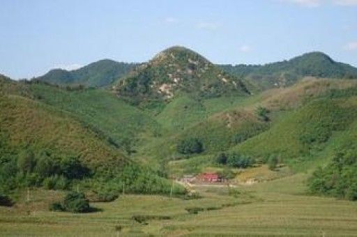 屬龍摩羯座2024年健康運(yùn),屬龍摩羯座2024年健康運(yùn)勢(shì)如何