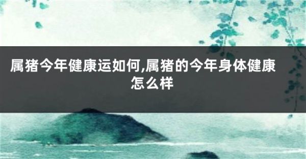属猪今年健康运如何,属猪的今年身体健康怎么样