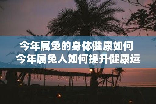 今年屬兔的身體健康如何 今年屬兔人如何提升健康運(yùn)