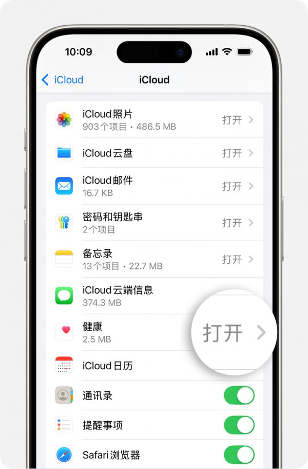iPhone 屏幕显示了 iCloud 设置