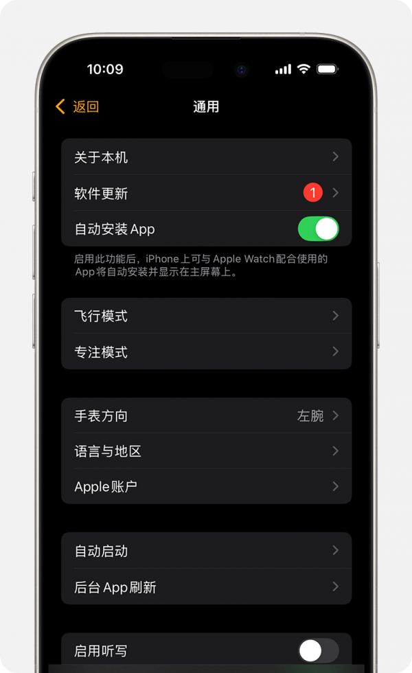 iPhone 屏幕显示了“通用”设置