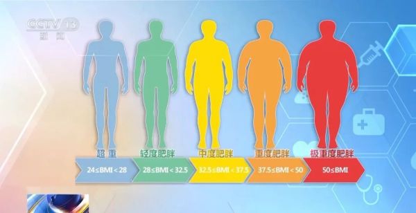 什么样的胖才是真的超重肥胖？不同地区怎么吃？国家版减肥指南来了！