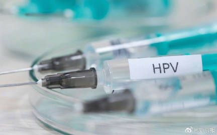 全面指南:如何制作與運(yùn)用健評估表格,解決各類健問題與需求