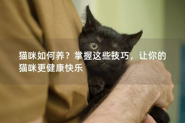 貓咪如何養(yǎng)？掌握這些技巧，讓你的貓咪更健康快樂