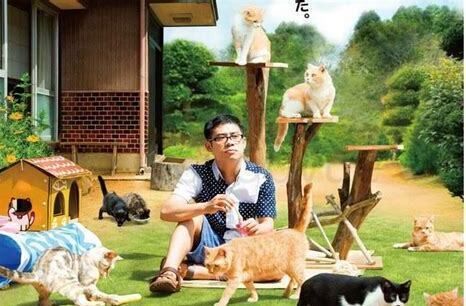 猫咪怎么养最健康
