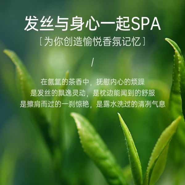 【若安好洗發(fā)水24】野菠菜怎么煮水洗頭發(fā)的:拉芳白茶洗發(fā)水控油蓬松去屑止癢洗頭膏男女士洗發(fā)露品牌正品7773