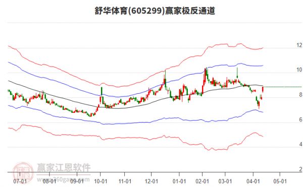 605299舒華體育贏家極反通道工具