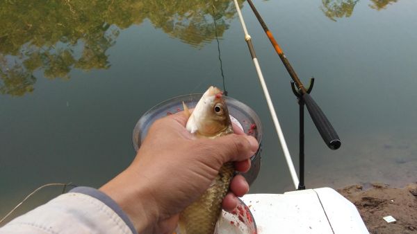 魚(yú)鉤大小怎么選擇？判斷標(biāo)準(zhǔn)與常用法則
