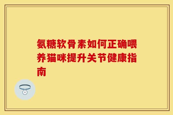 氨糖軟骨素如何正確喂養(yǎng)貓咪提升關(guān)節(jié)健康指南