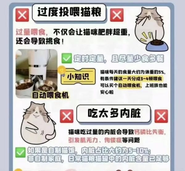 幼猫合理喂食猫粮的方法是什么？如何制定幼猫的喂食计划？