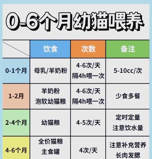 幼猫合理喂食猫粮的方法是什么？如何制定幼猫的喂食计划？
