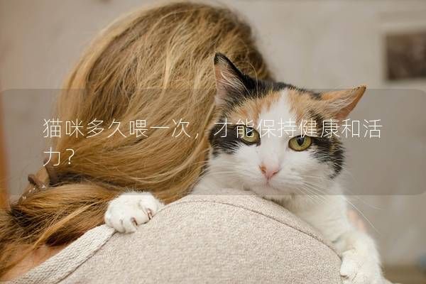 貓咪多久喂一次，才能保持健康和活力？