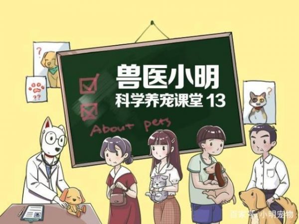 家猫一辈子不打疫苗也没病，打疫苗只是人的心理安慰