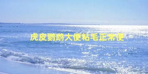 虎皮鹦鹉大便粘毛正常便