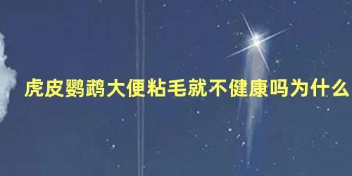 虎皮鹦鹉大便粘毛就不健康吗为什么