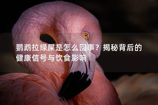鹦鹉拉绿屎是怎么回事？揭秘背后的健康信号与饮食影响