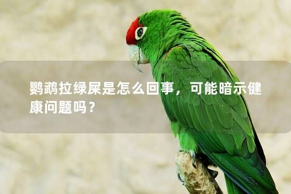 鸚鵡拉綠屎是怎么回事，可能暗示健康問(wèn)題嗎？