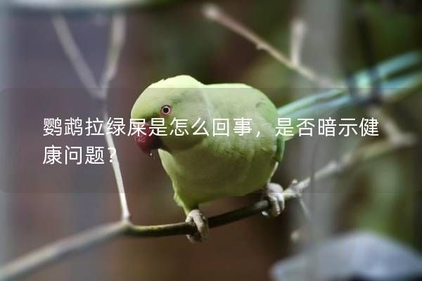 鸚鵡拉綠屎是怎么回事，是否暗示健康問(wèn)題？