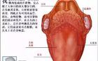 人體的衰老死亡，就是經(jīng)絡(luò)不斷堵塞的過程，看完嚇一跳！