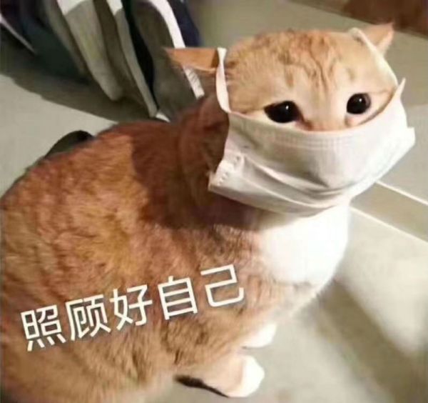 身體健康