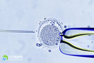 卵泡刺激素排卵預(yù)測怎么檢查 卵泡從月經(jīng)第幾天發(fā)育成熟