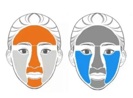 怎樣判斷油皮干皮混油皮的區(qū)別插圖