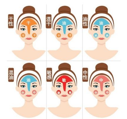 怎么区分皮肤是干皮还是混干皮插图